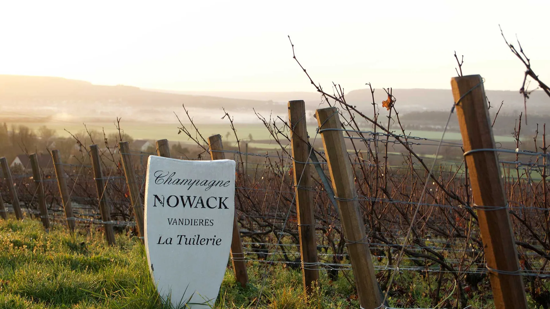 Champagne Nowack - Panneau de la parcelle La Tuilerie dans les vignes, face à la vallée de la Marne