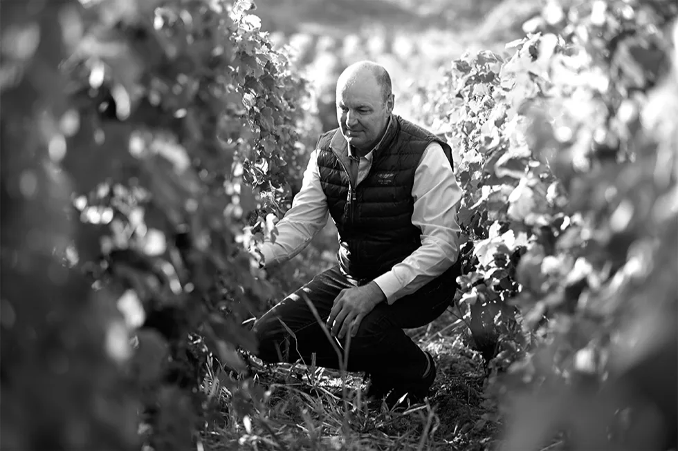 Champagne Régis Poissinet - Régis Poissinet accroupi entre les rangs de vigne, en noir et blanc