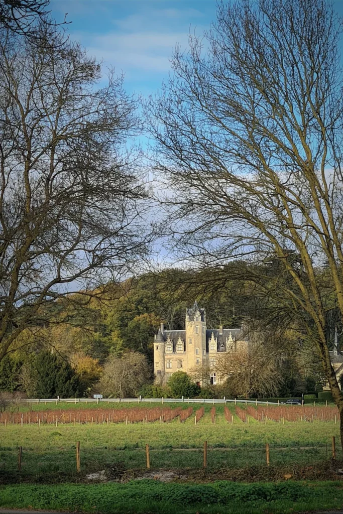 Château de Coulaine - Le manoir du XVe siècle vu à travers les arbres du parc