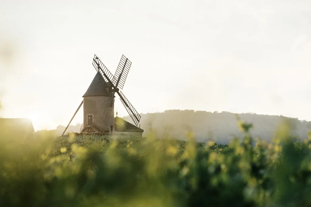 Château du Moulin-à-Vent - Le moulin de l’appellation au-dessus des vignes