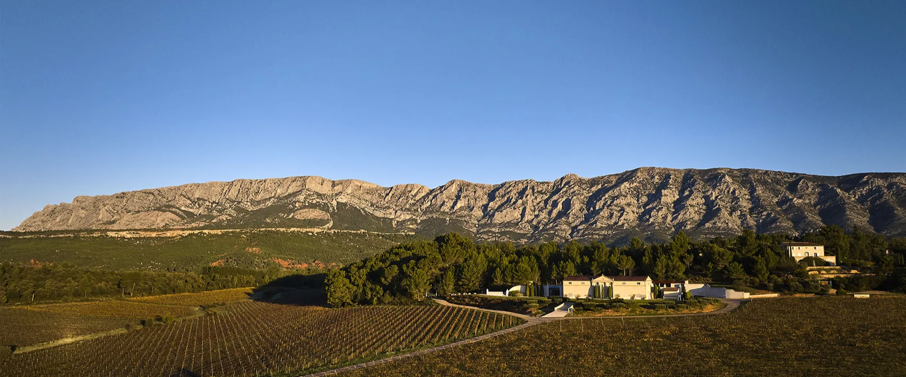 Château Gassier - Le château et ses vignes face à la montagne Sainte-Victoire