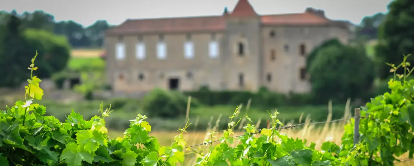Château Lacapelle Cabanac - Le château et ses vignes sur le causse