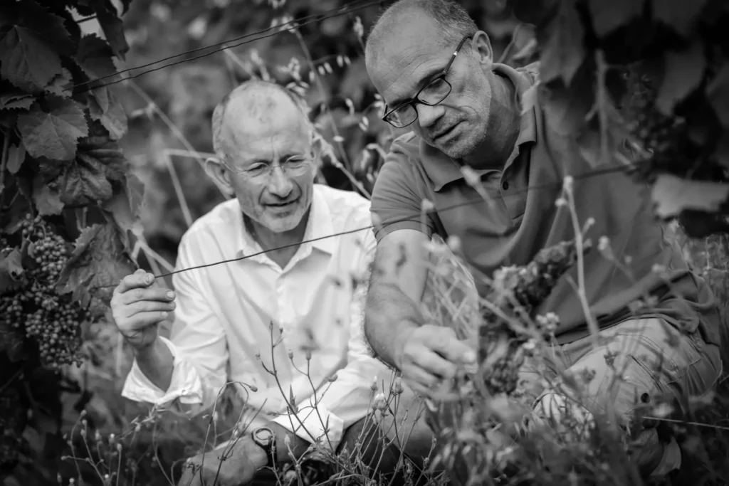 Château Lacapelle Cabanac - Les deux vignerons du domaine