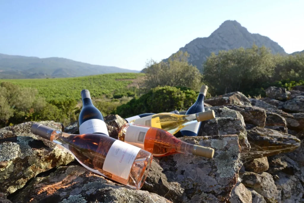 Clos Teddi - Bouteilles des trois couleurs posées sur les rochers, face aux vignes