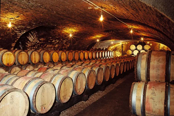 Domaine Antonin Guyon