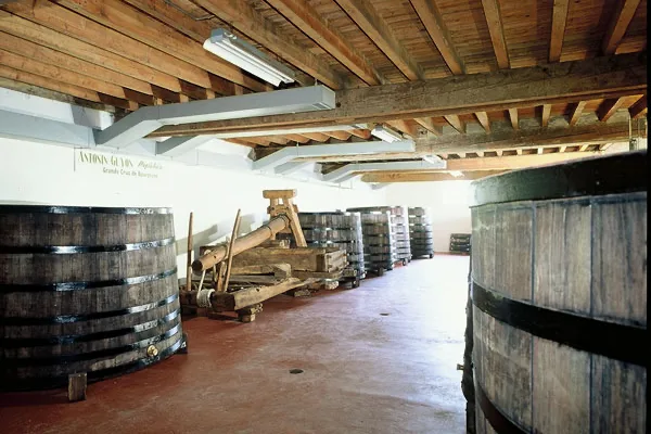 Domaine Antonin Guyon - Cuverie aux cuves de bois ouvertes à Savigny-lès-Beaune