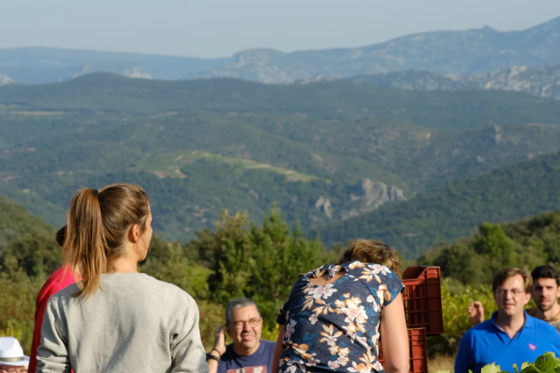 Domaine Benastra - Dégustation en terrasse face aux reliefs du Fenouillèdes