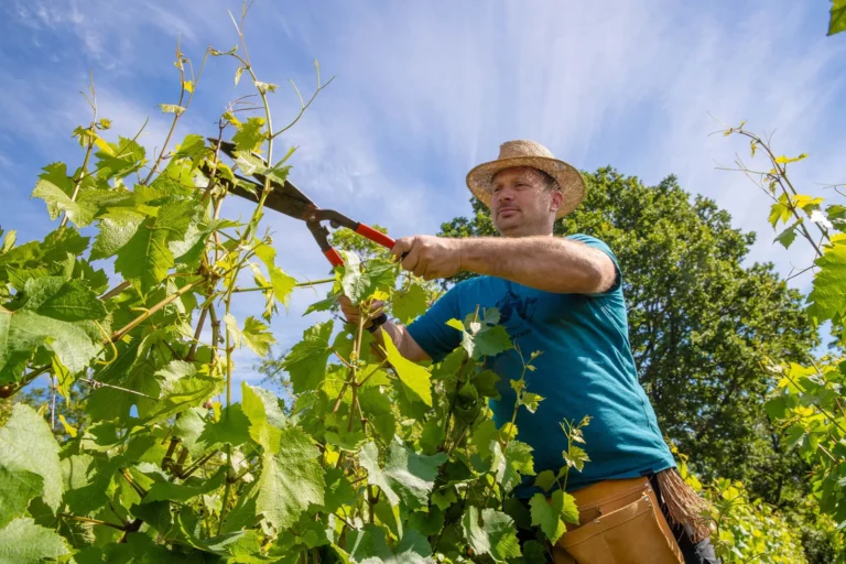 Domaine Bernard Millot