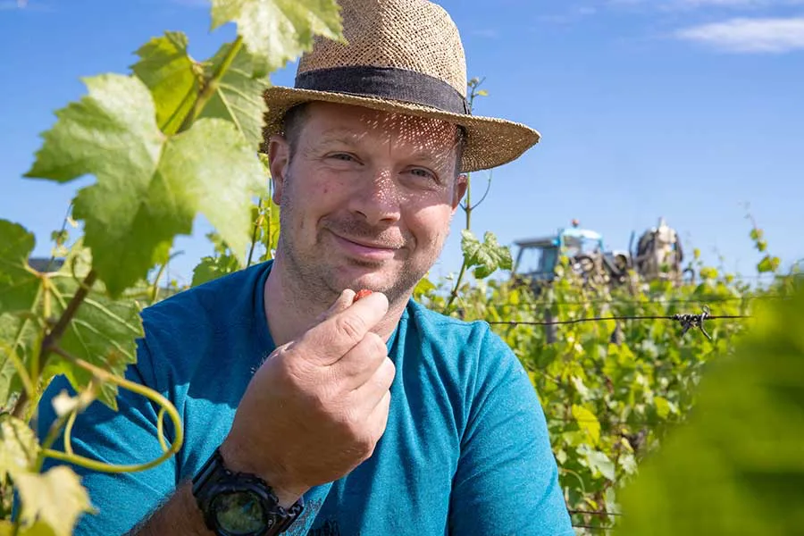 Domaine Bernard Millot - Emilien Millot en chapeau de paille au milieu des vignes