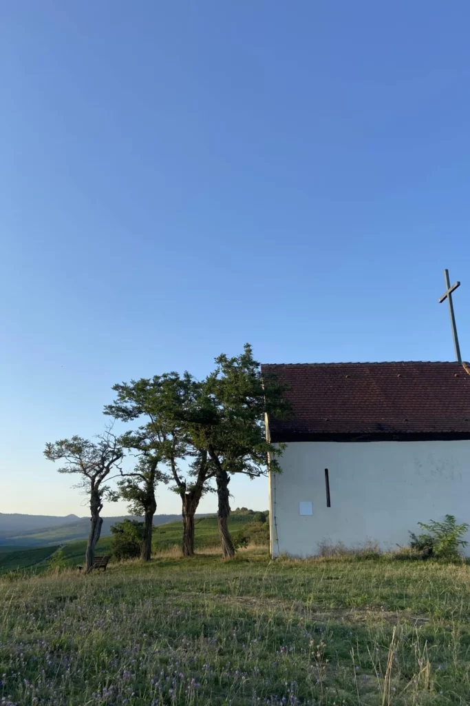 Domaine Camille Braun - La chapelle au sommet de la colline du Bollenberg
