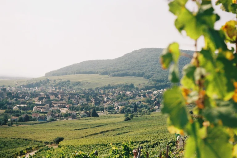 Domaine Camille Braun