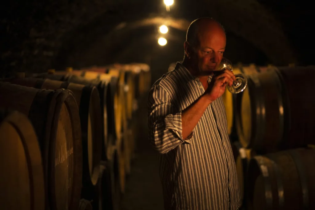 Domaine Chandon de Briailles - Dégustation au verre entre les rangées de fûts