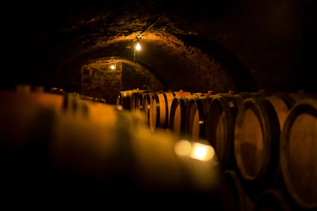 Domaine Chandon de Briailles - Rangées de fûts sous les voûtes de la cave ancienne