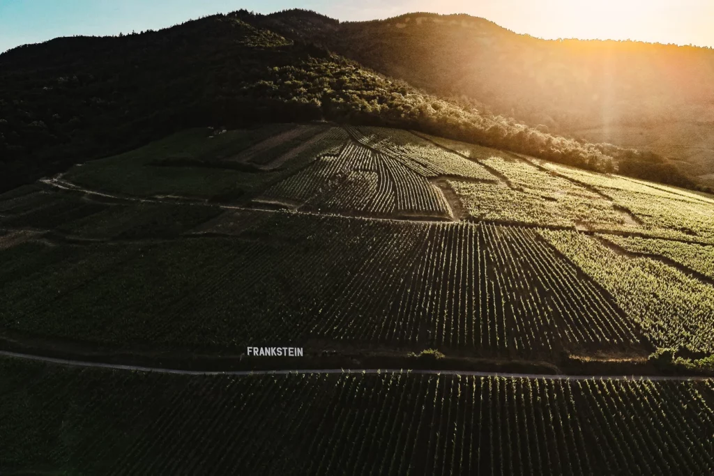 Domaine Charles Frey - Coteau du grand cru Frankstein à contre-jour, vu du ciel