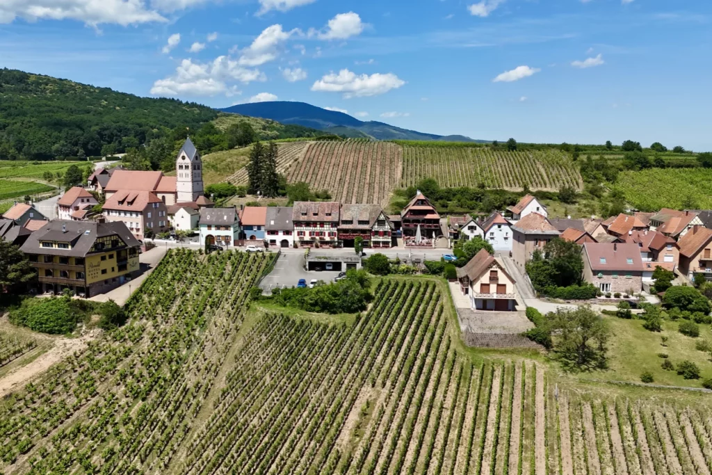 Domaine Charles Frey - Village d’Itterswiller et vignes du coteau du Fruehmess