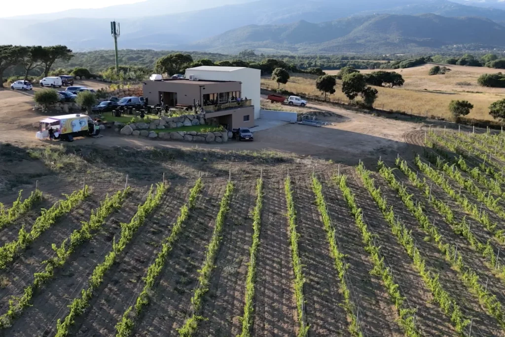 Domaine de la Murta - La cave au milieu des vignes, vue du ciel