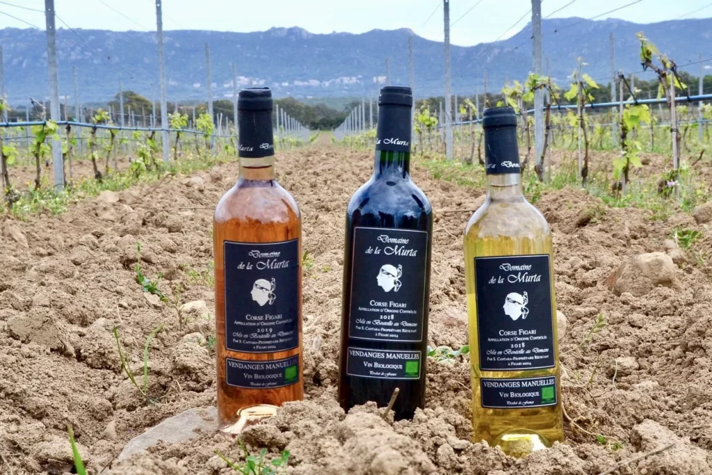Domaine de la Murta - Rosé, rouge et blanc du domaine posés dans les vignes
