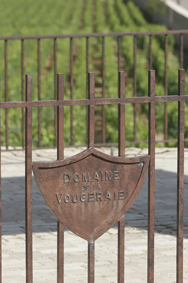 Domaine de la Vougeraie