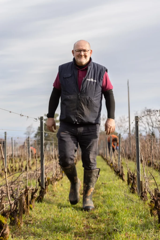 Domaine de la Vougeraie - Jean-Michel Catinot, chef de culture, marchant dans un rang de vigne