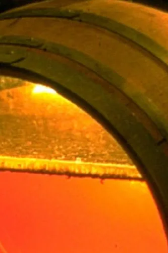 Domaine de Montbourgeau - Voile de levures à la surface du vin dans un fût