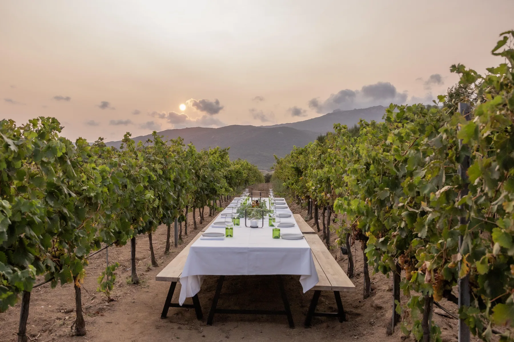 Domaine de Peretti della Rocca - Tablée dressée entre les rangs de vigne, face aux montagnes de Figari