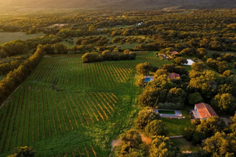Domaine de Peretti della Rocca