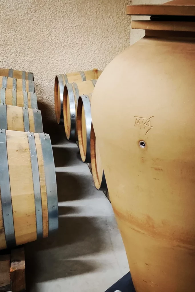 Domaine de Prapin - Amphore de terre cuite et barriques au chai