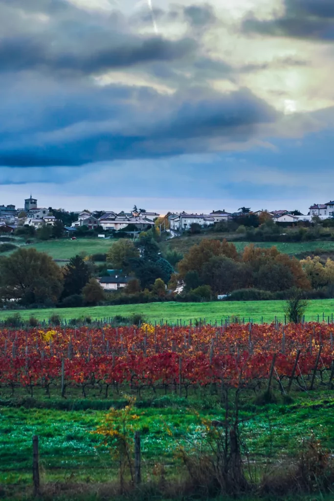Domaine de Prapin - Vignes rougies par l’automne sous un village des coteaux