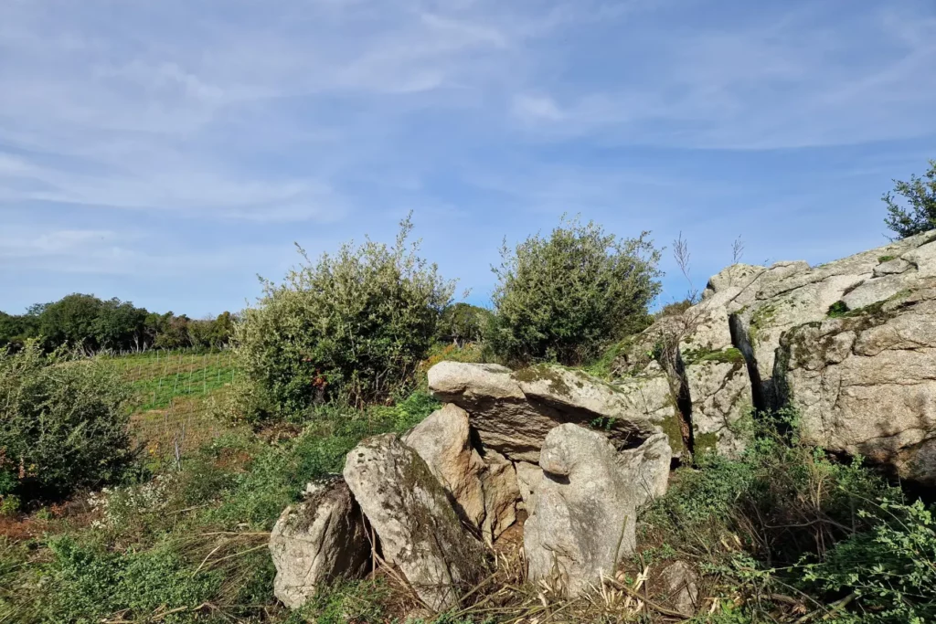 Domaine de Tremica - Blocs de granit dans le maquis, en lisière des jeunes vignes
