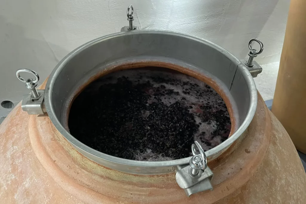 Domaine de Tremica - Marc de raisin rouge en cuvaison dans une amphore