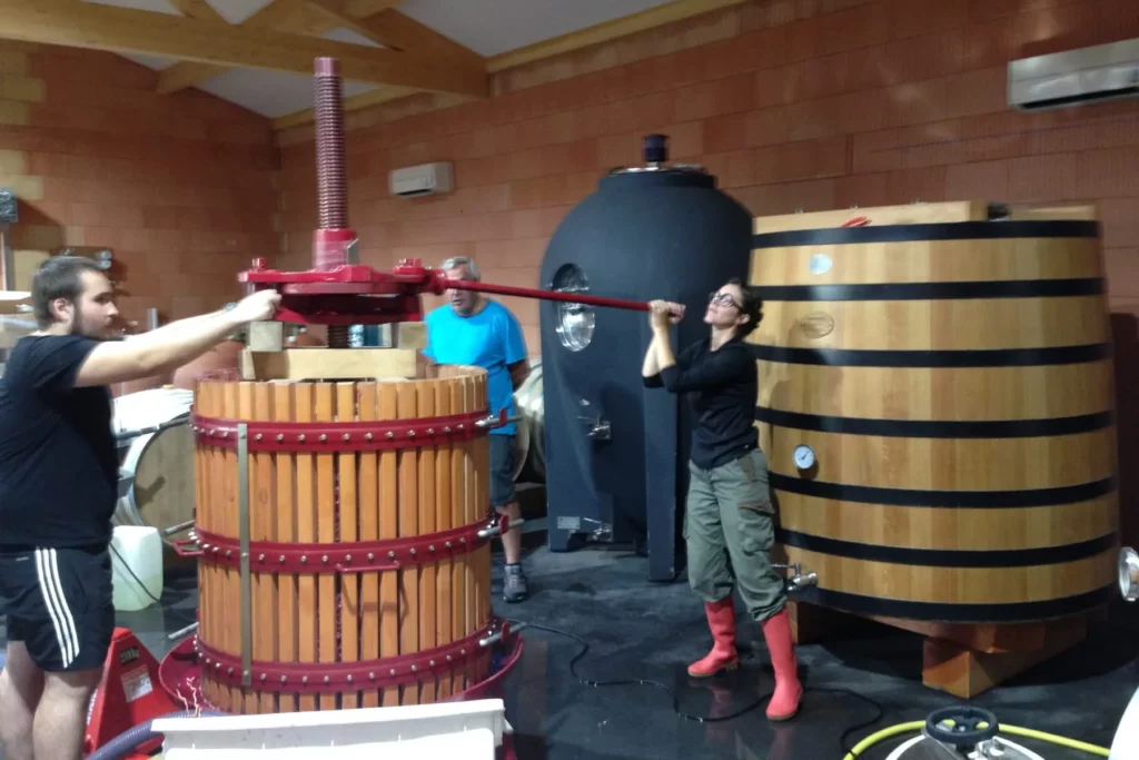 Domaine de Tremica - Pressurage au pressoir vertical en bois, dans le chai