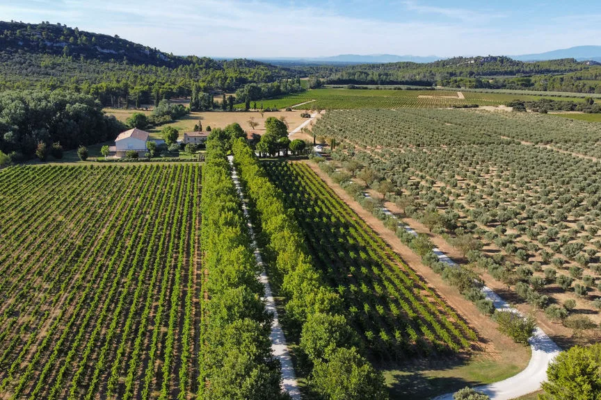 Domaine de Valdition - Vignes, oliveraie et bâtiments du domaine vus du ciel
