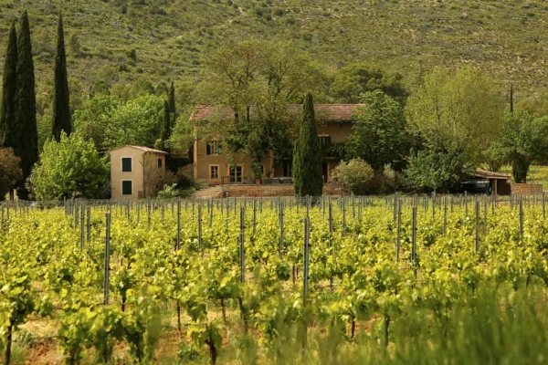 Domaine des Aspras - La maison du domaine derrière ses vignes et ses cyprès