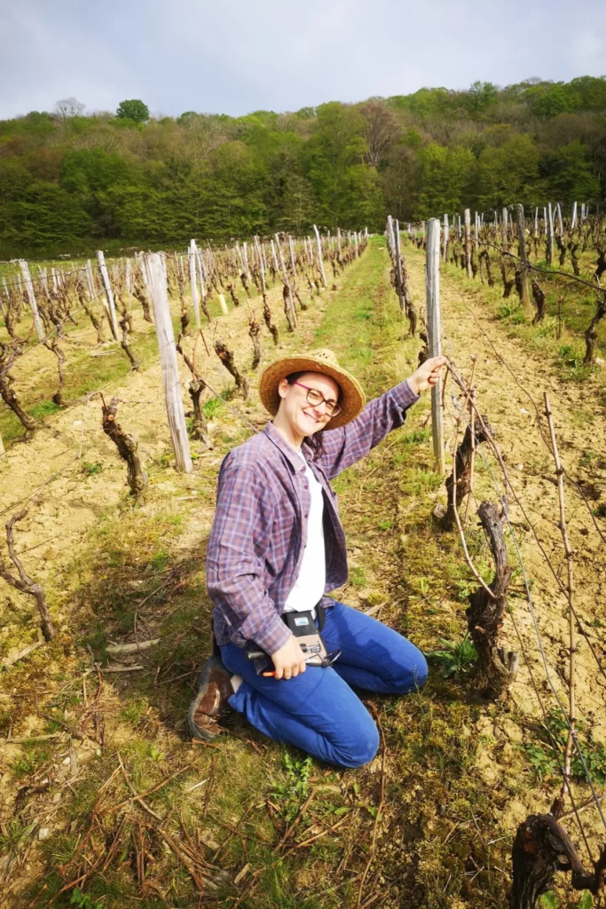 Domaine des Pentacrines - Clarisse Nunez au liage des vignes