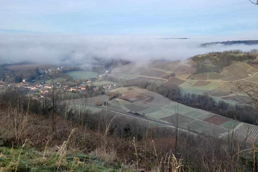 Domaine des Pentacrines - Coteaux de vigne et village sous la brume, vus depuis la corniche