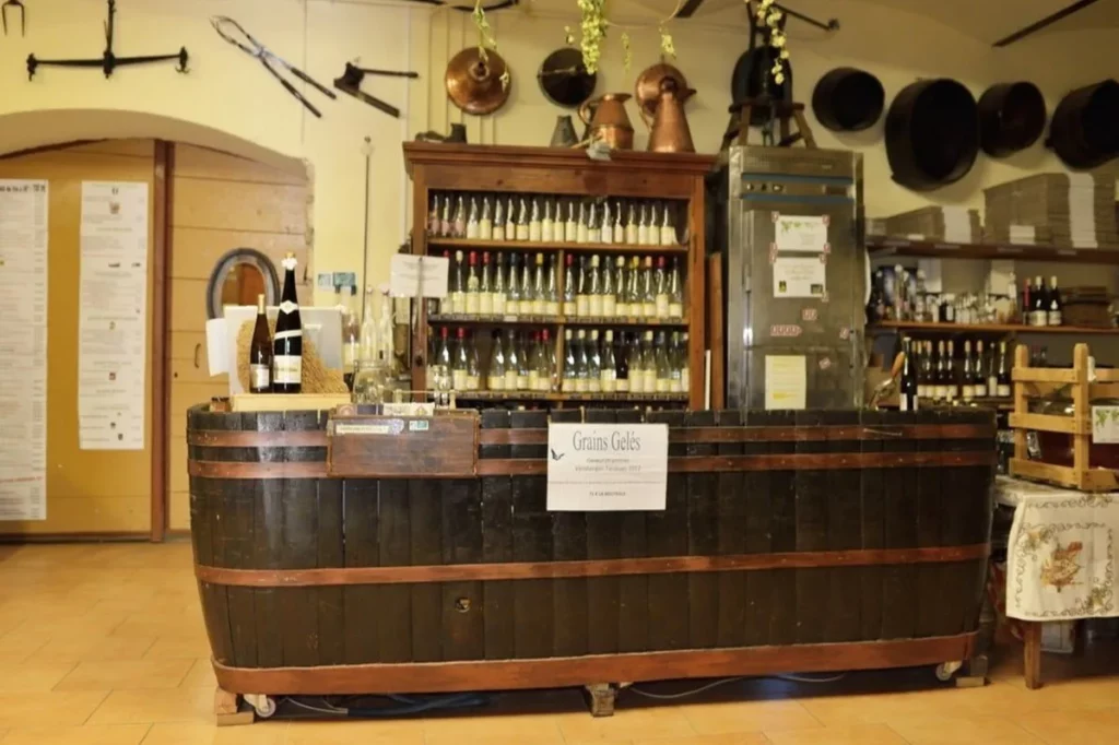 Domaine du Bollenberg - Le caveau de dégustation du Clos Sainte Apolline