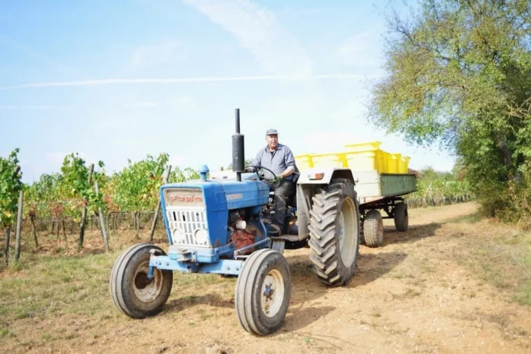 Domaine du Bollenberg