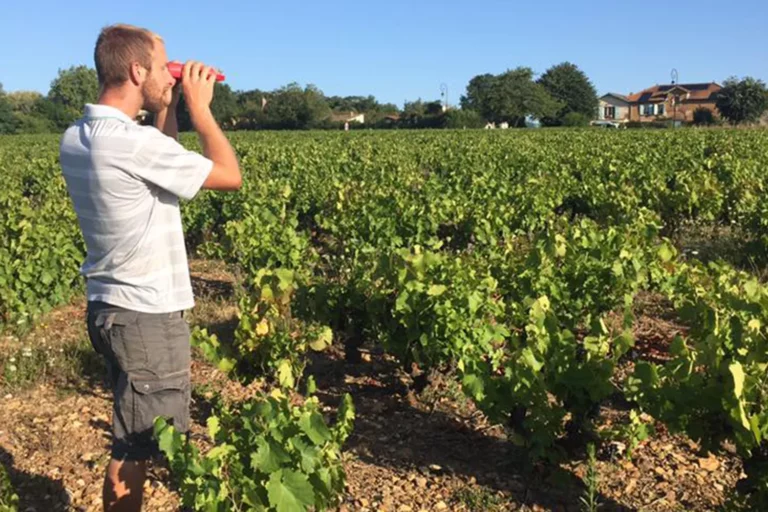 Domaine du Champ de la Croix