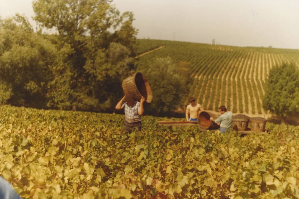Domaine du Champ de la Croix - Vendanges au domaine, photo d’archive de la famille