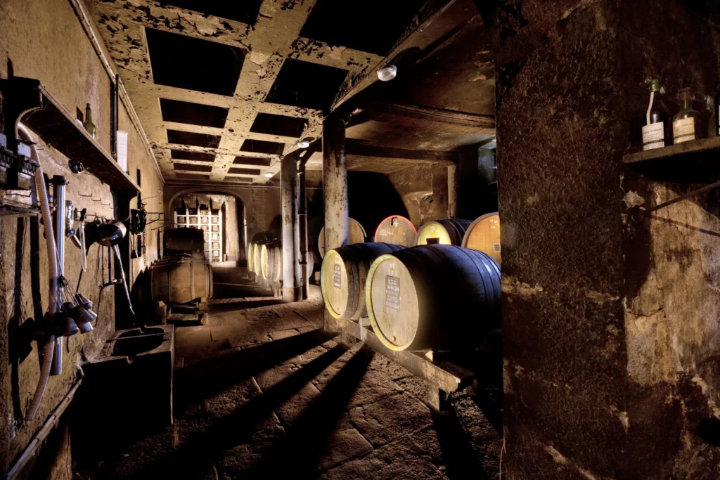 Domaine du Château d'Arlay - La cave et ses fûts de chêne sous les poutres anciennes