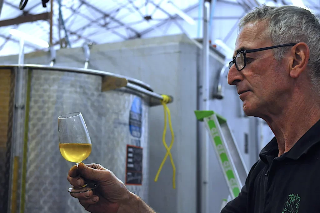Domaine du Château d'Arlay - Examen d'un verre de vin blanc devant les cuves du chai