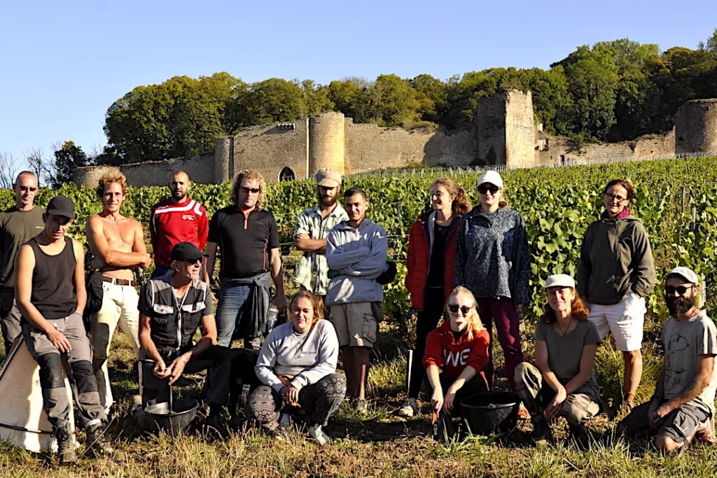 Domaine du Château d'Arlay - L'équipe des vendanges réunie devant les ruines du château fort