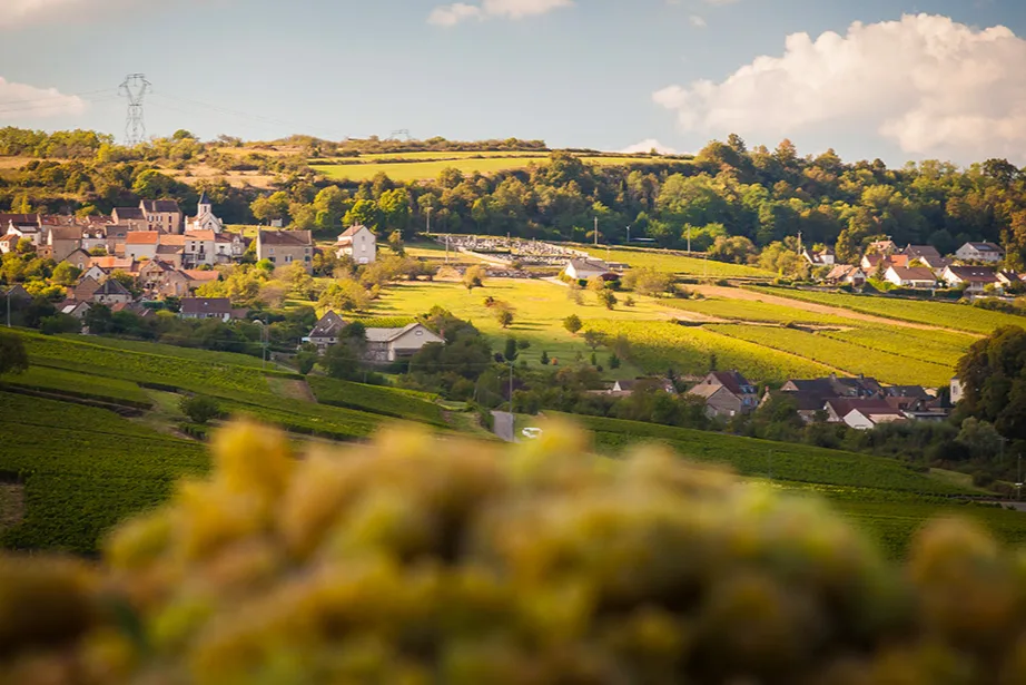 Domaine Feuillat-Juillot - Village et vignoble au soleil couchant