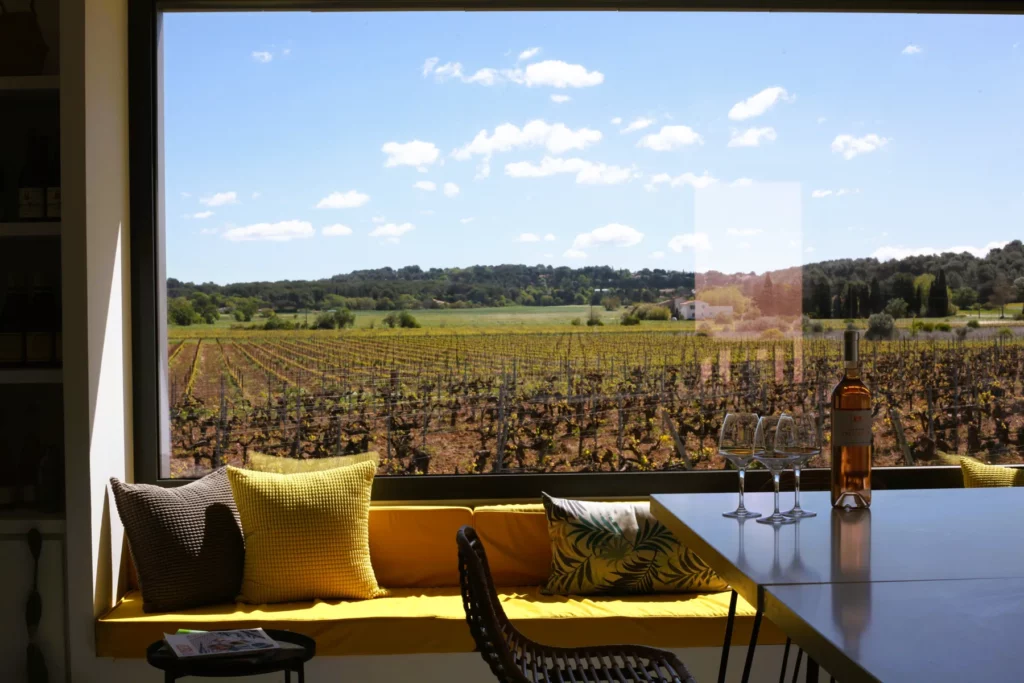 Domaine Fredavelle - Vue sur les vignes depuis la baie vitrée de l’espace de dégustation