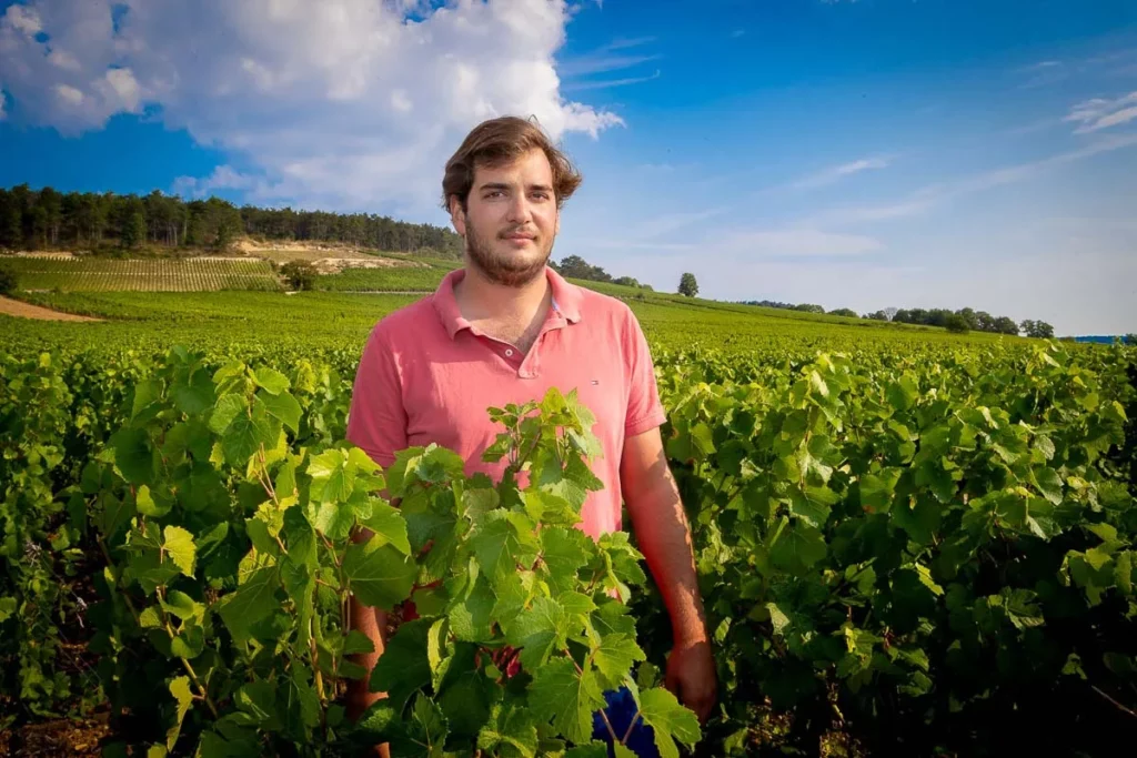 Domaine Henri Delagrange - Alexis Delagrange debout dans les rangs de vigne