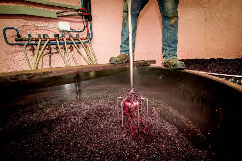 Domaine Henri Delagrange - Pigeage du marc dans une cuve inox ouverte
