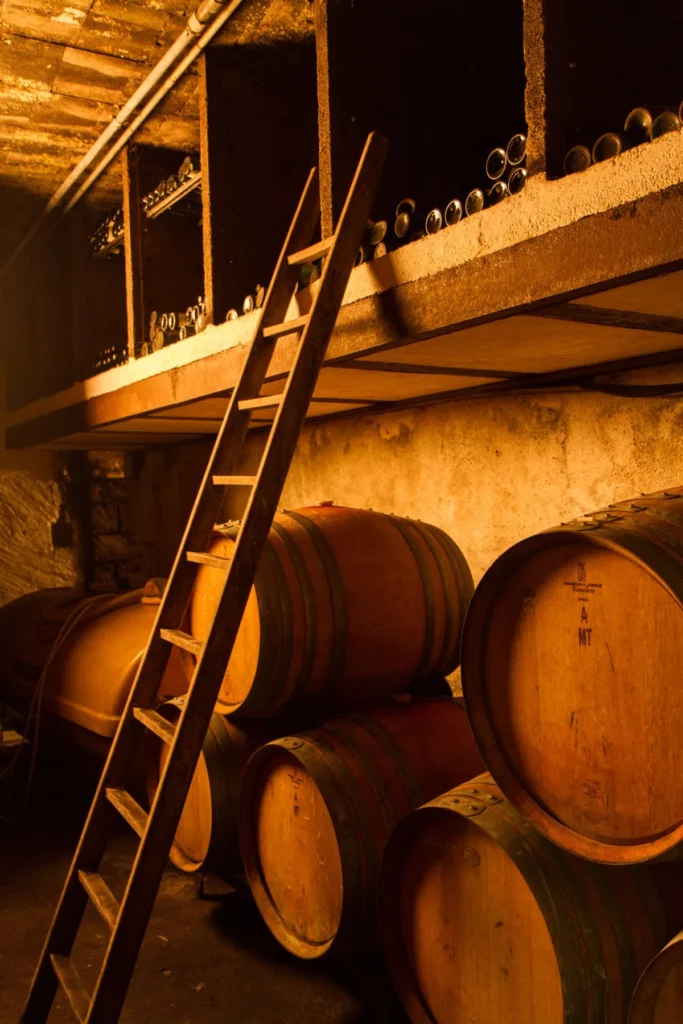 Domaine Hering - Foudres de chêne dans la cave du domaine