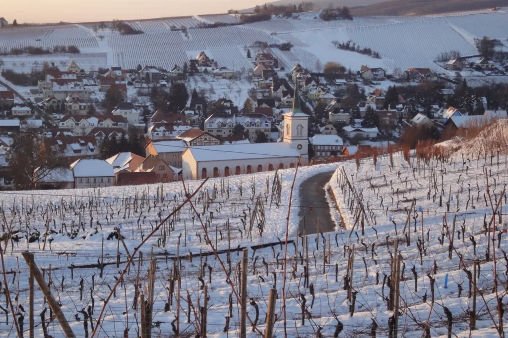 Domaine Hering - Le vignoble de Barr sous la neige