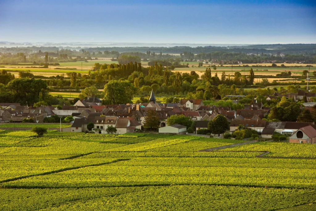 Domaine Leflaive - Le village et son vignoble au soleil du soir