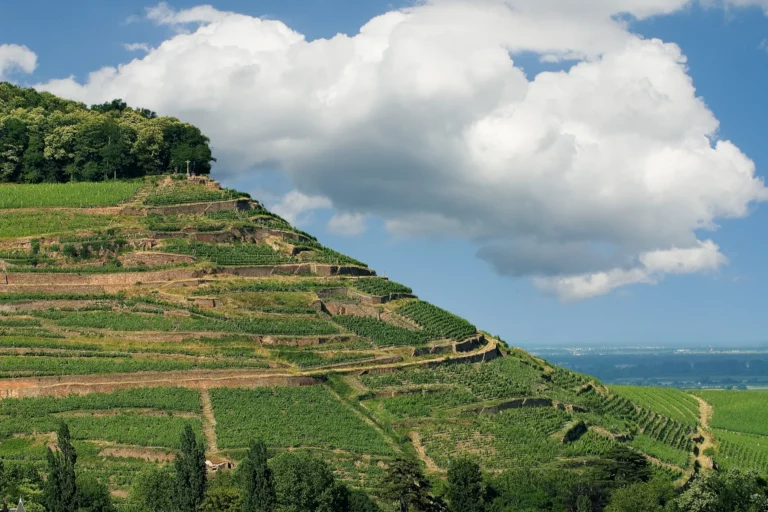 Domaine Loberger